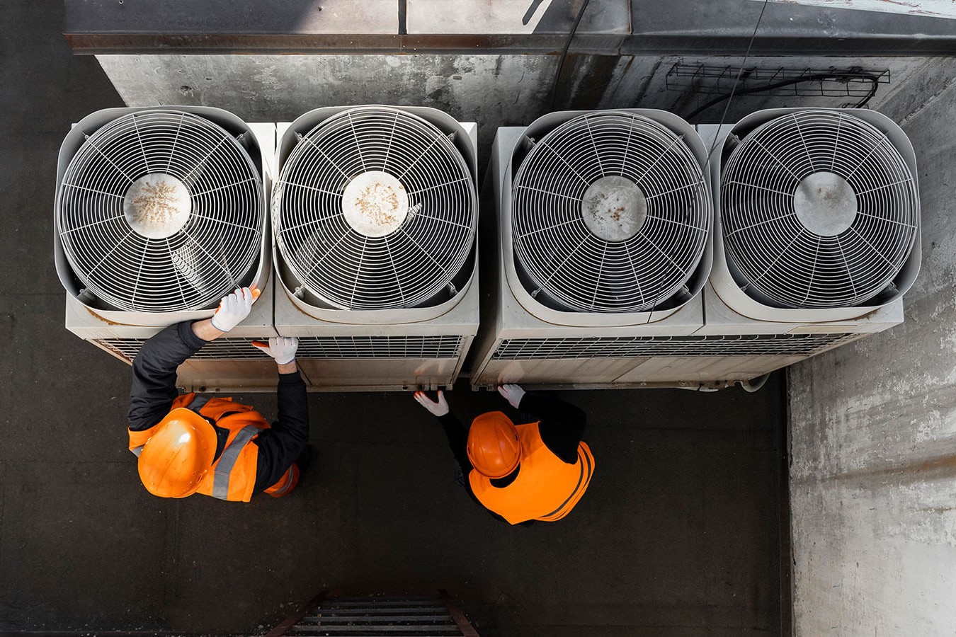 Sprinkler and hydrant system layout